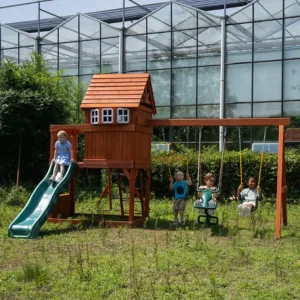 Backyard Playset
