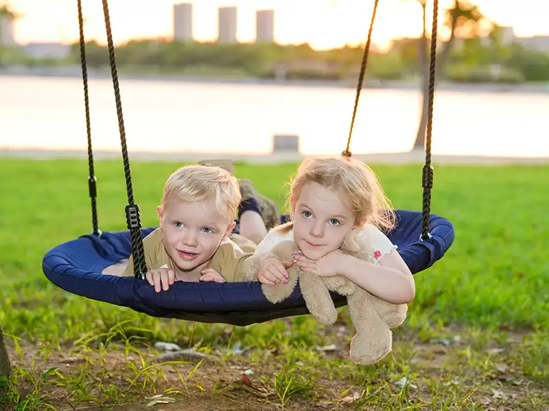 tree swing saucer