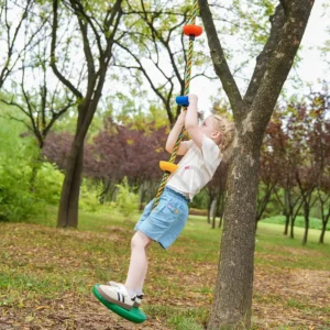 disc swing