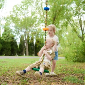 disc swing