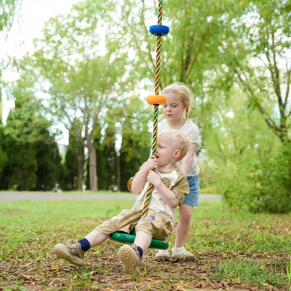 disc swing