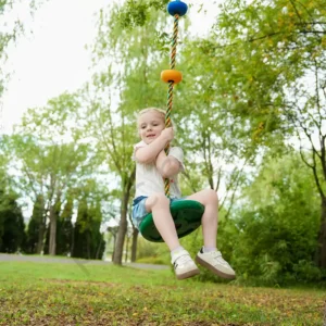 disc swing