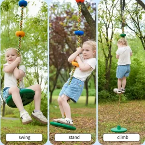 disc swing for tree