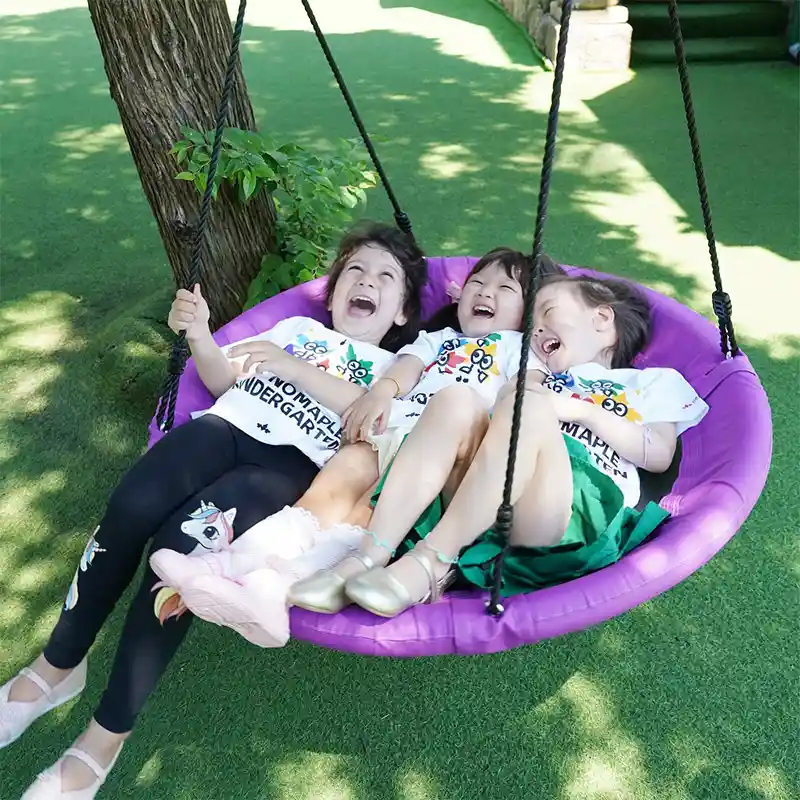 Flying Saucer Swing