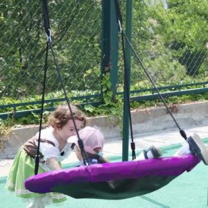 flying saucer tree swing