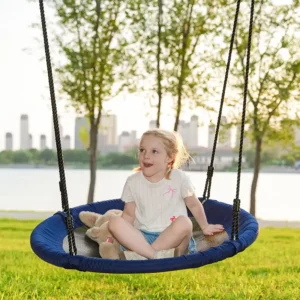 hanging saucer swing