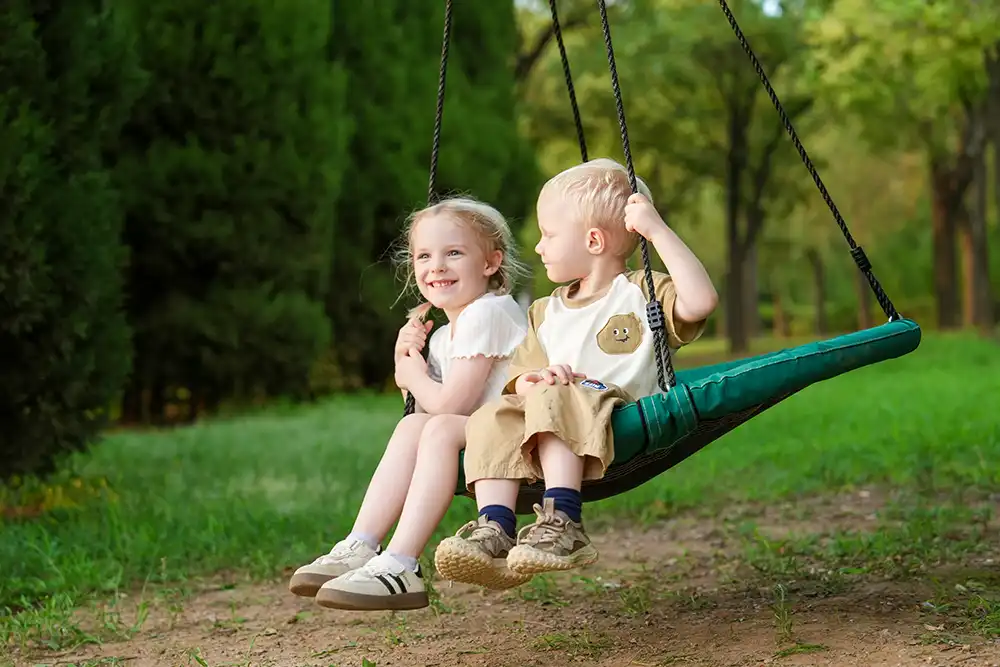 saucer swing