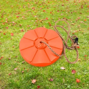 disc swing for tree