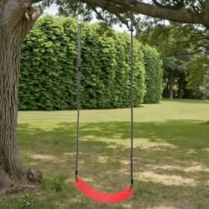 Belt Swing Seat