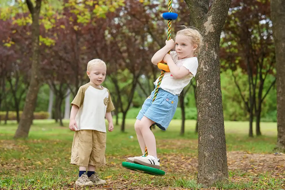 disc swing