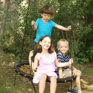 Web Swing