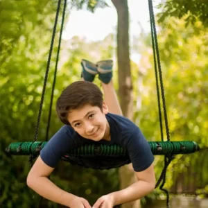 Web Swing
