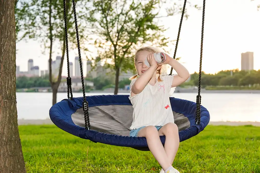 outdoor saucer swing