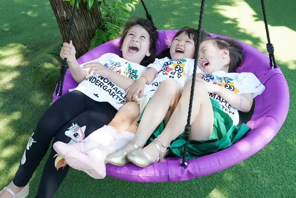 saucer tree swing