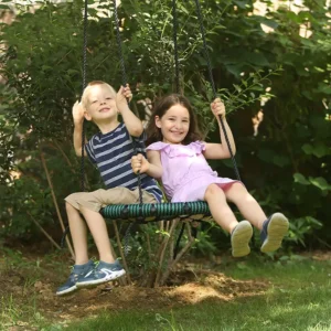 Nest Swing