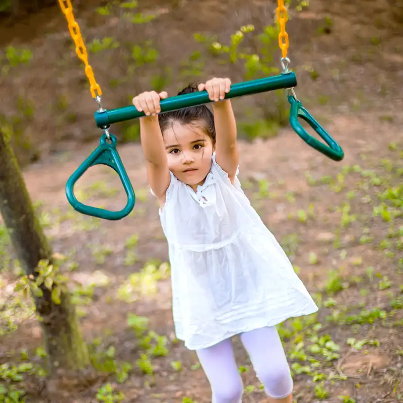 Trapeze Swing Bar