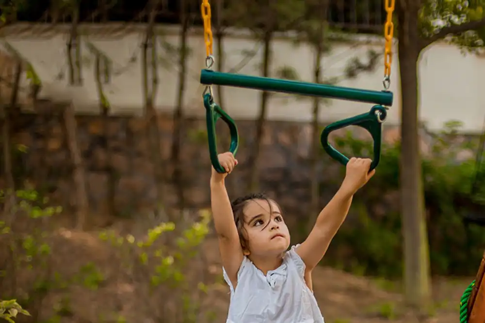 trapeze swing