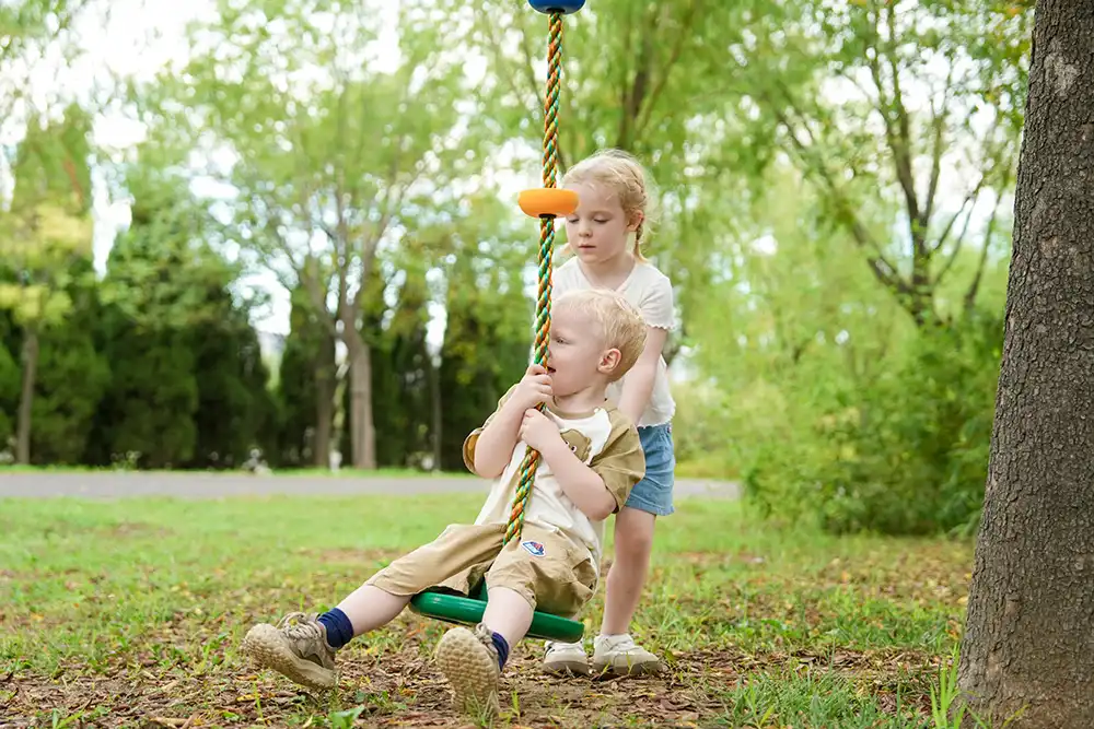 tree disc swing