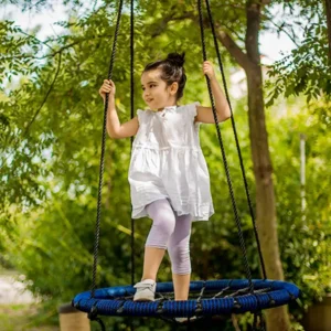 Web Swing