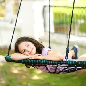 Web Swing